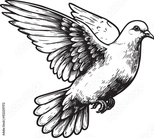 Elegant Woodcut Illustration of a Dove Representing Peace and Ho