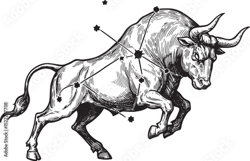 Taurus Zodiac Sign Illustration in Woodcut Style with Constellat