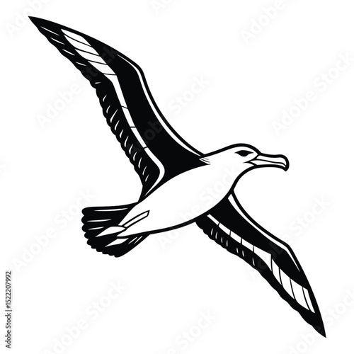 Black-headed gull vector silhouette illustration of a flying bird with outstretched wings