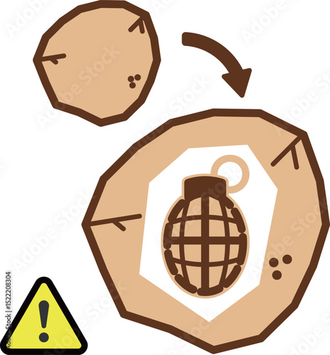 Unexploded bomb that looks like a stone: 石のように見える不発弾