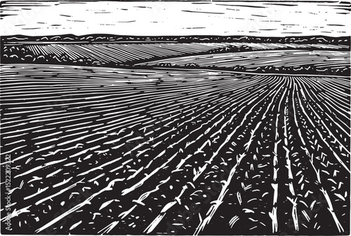Monochrome Woodcut Illustration of Agricultural Fields on a Farm