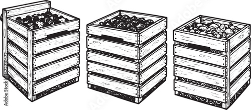 Vintage Woodcut Illustration of Three Compost Bins for Organic W