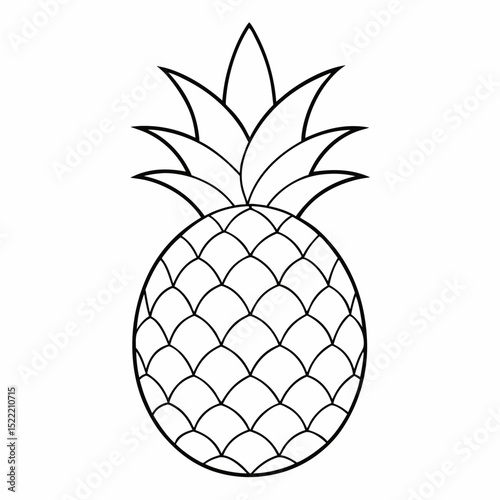 pineapple on white background