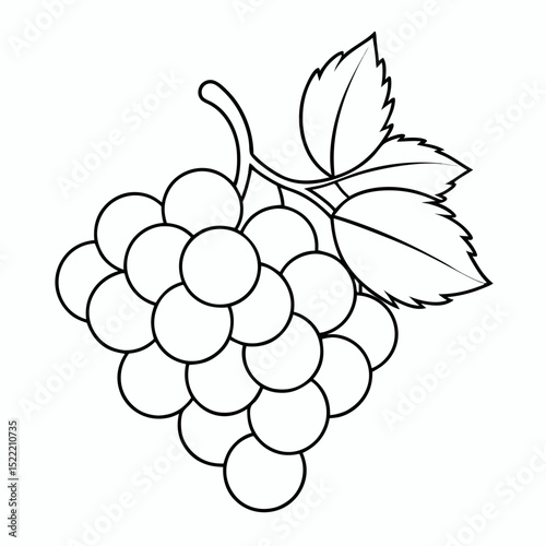 grapes on white back ground