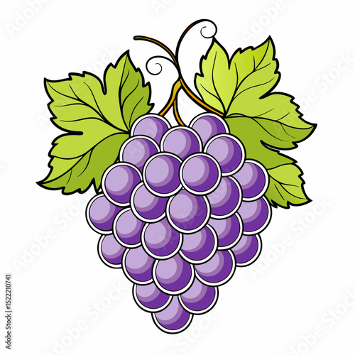 grapes on white back ground
