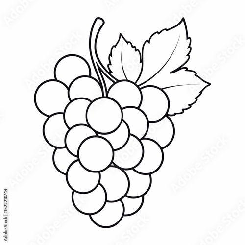 grapes on white back ground