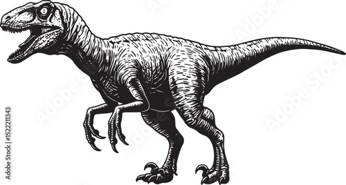 Detailed woodcut drawing of a velociraptor dinosaur illustration