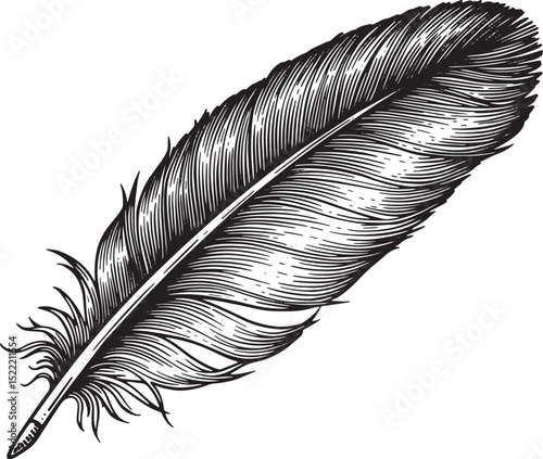 Elegant Feather Illustration, Intricate Woodcut Detail in Black