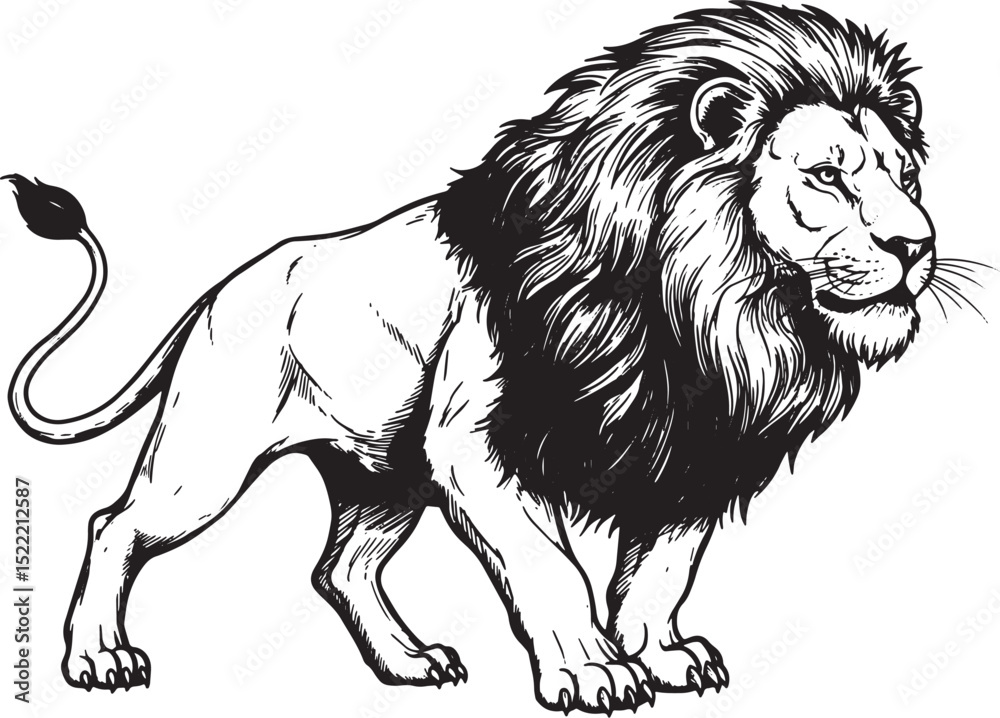 Obraz premium Majestic Lion Illustration, Detailed Woodcut Drawing in Black an