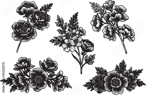Elegant black and white woodcut illustration of diverse flower a