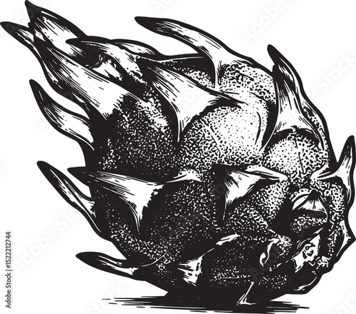 Detailed Woodcut Illustration of a Vibrant Dragon Fruit Still Li