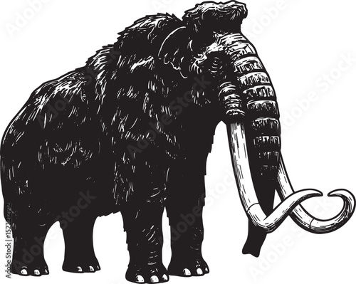 Detailed Black and White Woodcut Illustration of a Woolly Mammot