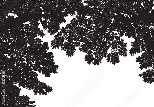 Black and White Woodcut Illustration of a Forest Canopy with Den