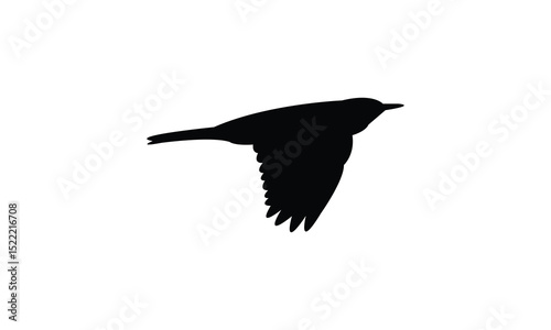 Alpine thrush bird Silhouette Design  And Vector Illustration. 