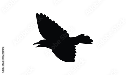 Alpine thrush bird Silhouette Design  And Vector Illustration. 