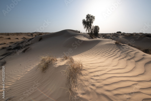 ARid desert landscape of Dubai