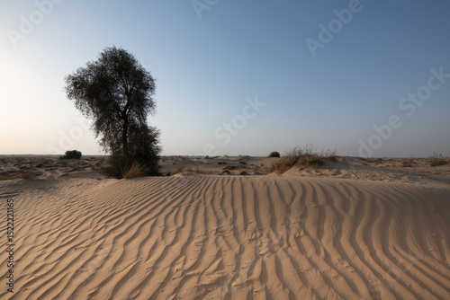 ARid desert landscape of Dubai