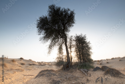 ARid desert landscape of Dubai
