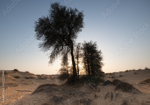 ARid desert landscape of Dubai