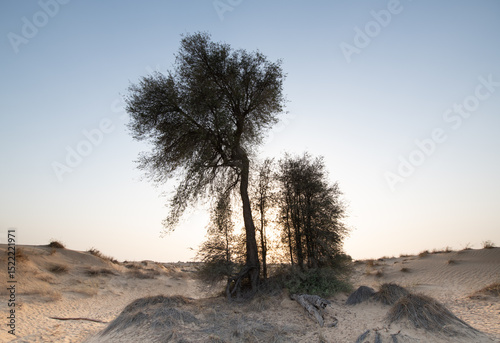 ARid desert landscape of Dubai