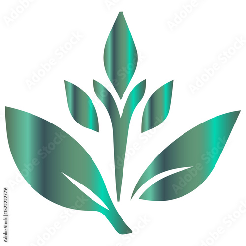 A modern infographic representation of a beautiful and elegant summer leaf