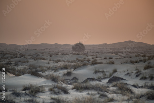 ARid desert landscape of Dubai