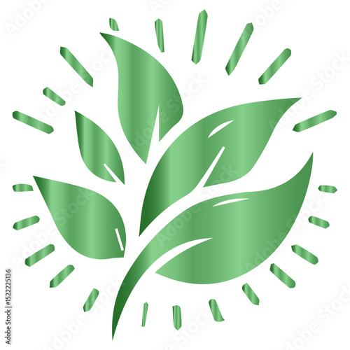 The internal scaffolding of a leaf shown in a beautiful cross-section