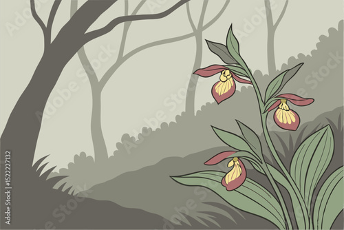 Rare, Ravishing, at Risk: The Survival Story of Rothschild’s Orchid