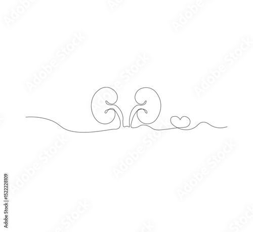 One continuous line drawing of the human kidney organ. White background, vector illustration