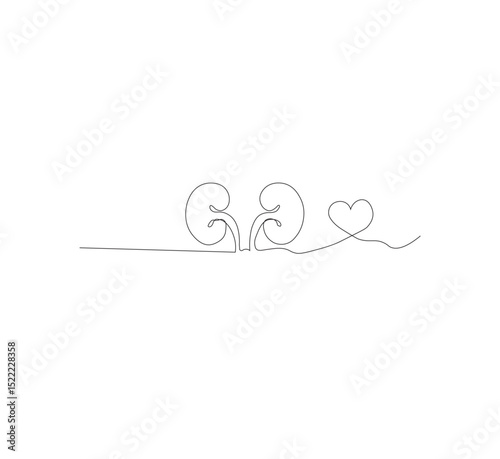 One continuous line drawing of the human kidney organ. White background, vector illustration