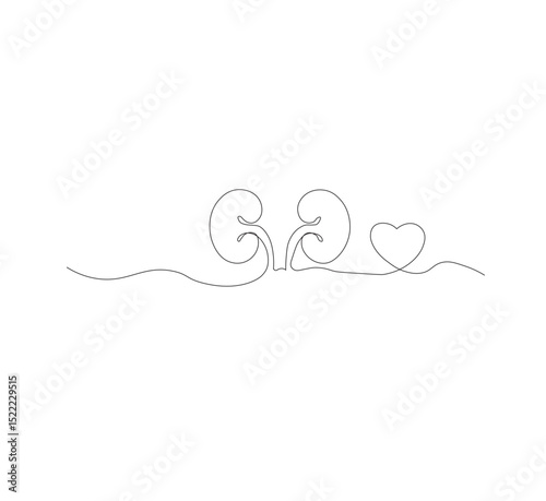 One continuous line drawing of the human kidney organ. White background, vector illustration