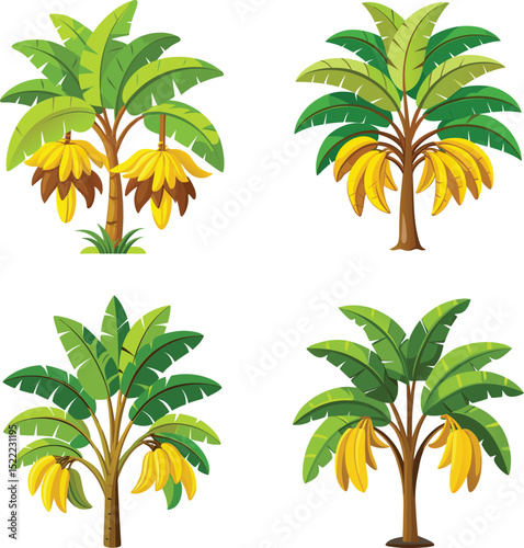 set of palm trees