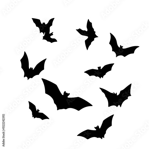 Bats silhouetted against white background, nighttime mystery