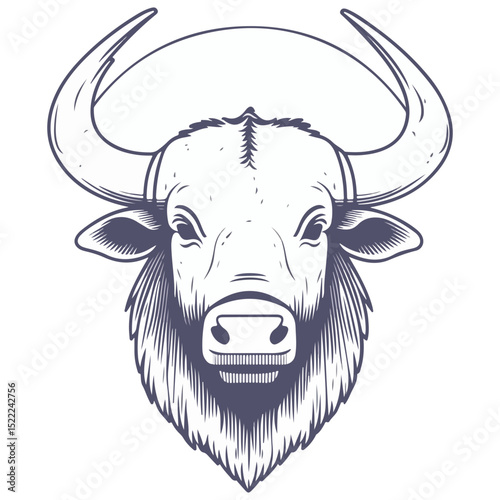 buffalo, animal, vector, transparent background, cattle, isolated, mammal, cute, nature, agriculture, livestock, farm