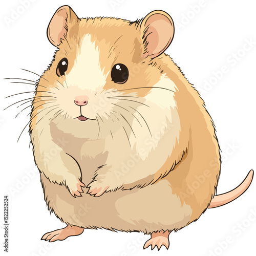 hamster, animal, vector, transparent background, mouse, pet, rodent, cute, isolated, mammal, mice, fluffy, furry, small, nature