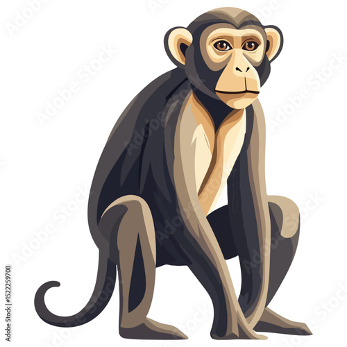 macaque, animal, vector, transparent background, mammal, symbol, wildlife, cute, zoo, nature, isolated, jungle, asia, icon