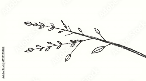Simple botanical sketch – Elegant line art for invitations