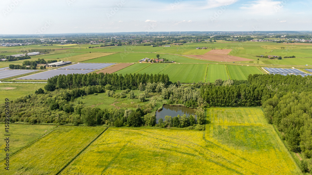 Fototapeta premium Drone photo of farmland and trees on a sunny day