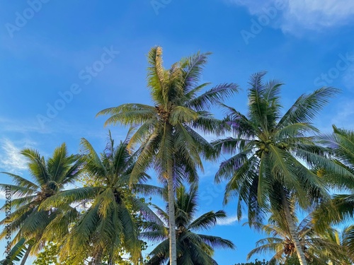 Wallpaper Mural Green leaves of Palm tree and tropical beach. Tropical island beach shore with exotic palm trees. Summer holidays, exotic island vacation.  Torontodigital.ca