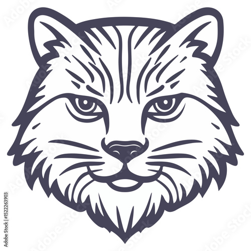 manul, animal, vector, transparent background, feline, fluffy, isolated, furry, mammal, beautiful, adorable, breed, cute, small, nature, wildlife, zoo