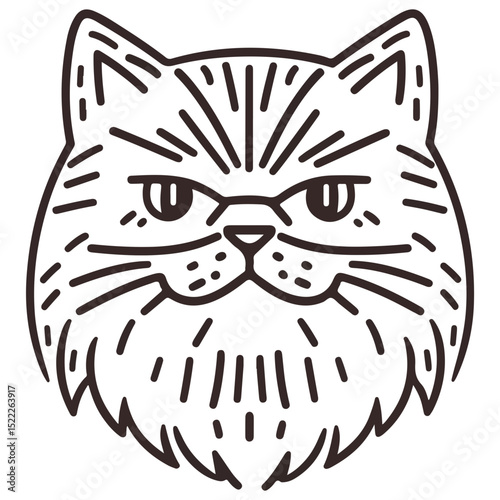 manul, animal, vector, transparent background, feline, fluffy, isolated, furry, mammal, beautiful, adorable, breed, cute, small, nature, wildlife, zoo