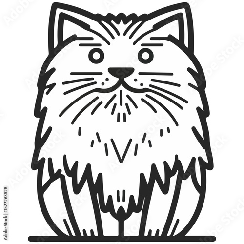 manul, animal, vector, transparent background, feline, fluffy, isolated, furry, mammal, beautiful, adorable, breed, cute, small, nature, wildlife, zoo