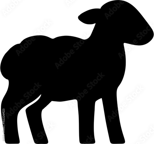 a lamb sketch