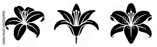 Black and white lily flower silhouettes on white background