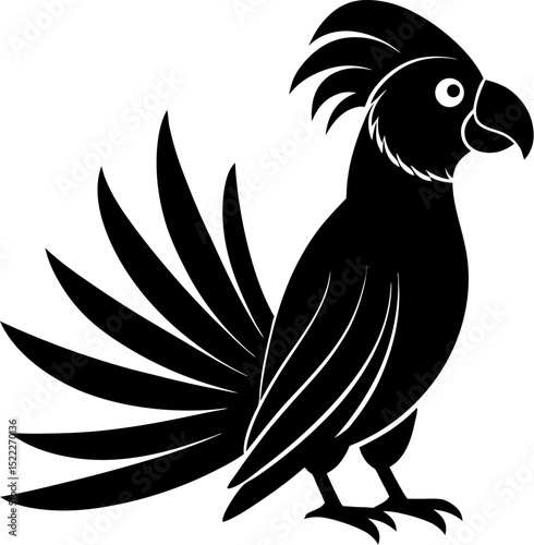 Black and white silhouette of a parrot with a large tail