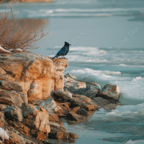 Personify the lake awakening: Describe the sensation of the ice sheet sighing as it pulls away from the rocky shore, the first wavelets lapping freely against stone for the first time in months, and t