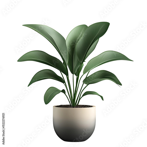 A serene green plant graces a minimalist pot, creating a sense of calmness and freshness, embodying natural simplicity.