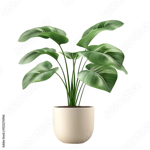 A serene still-life captures a lush potted plant, showcasing its vibrant green foliage against a soft, neutral backdrop. The image is a testament to natural beauty and tranquility.