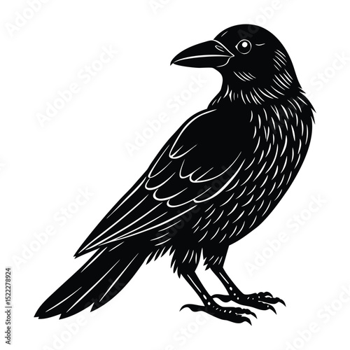 crow on a white background