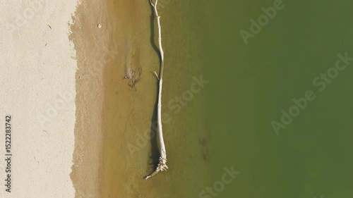 Aerial Photo of Gravel Bar with Stranded Trees on the Drava River, Croatia